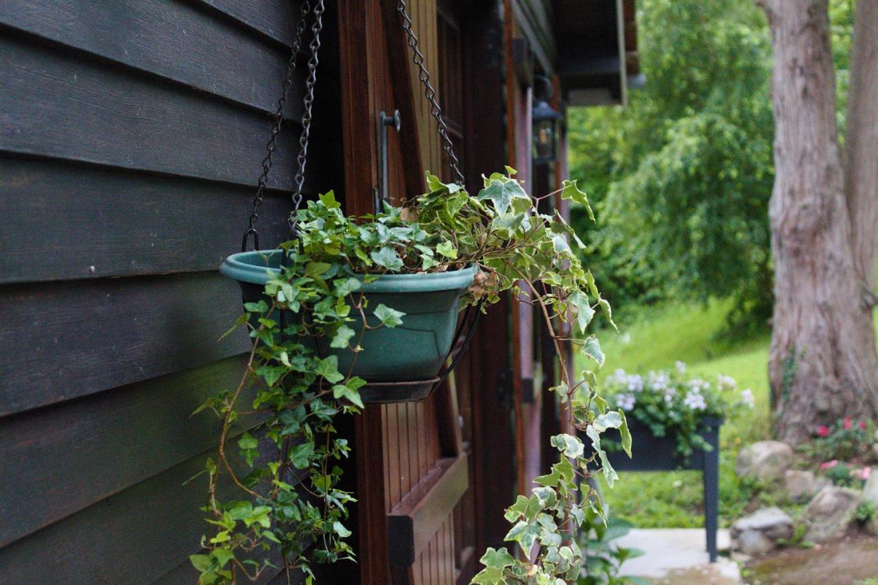 Vila Chalet Des Sept Pins Marles-sur-Canche Exteriér fotografie